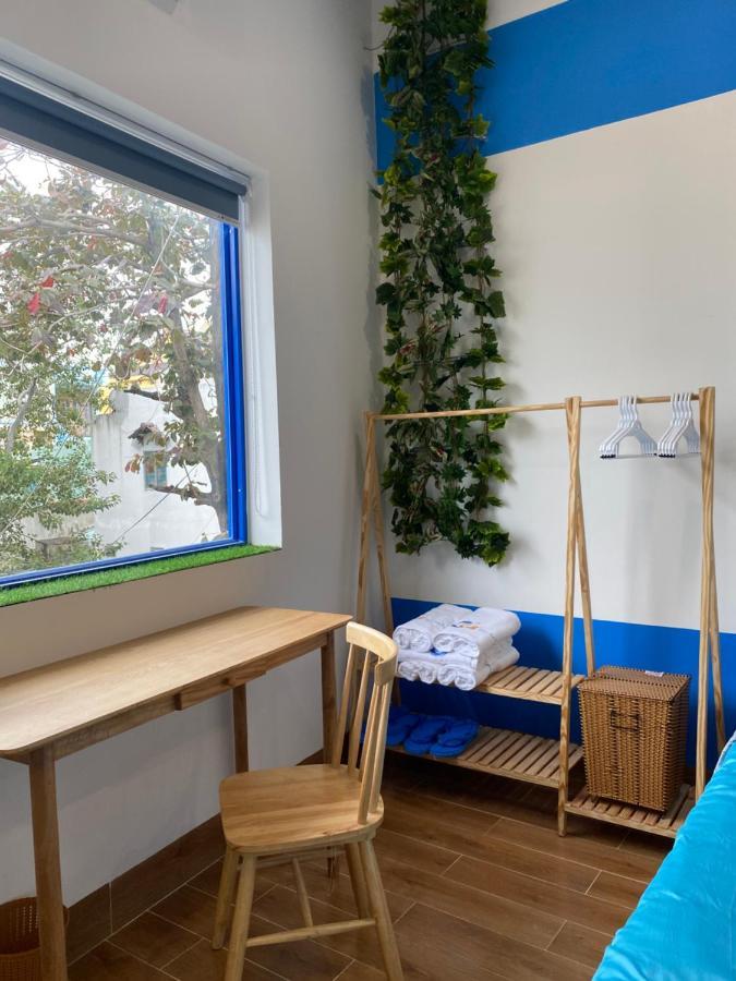Cat Homestay Куїнон Екстер'єр фото